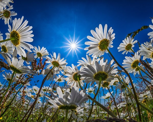 Небо солнце