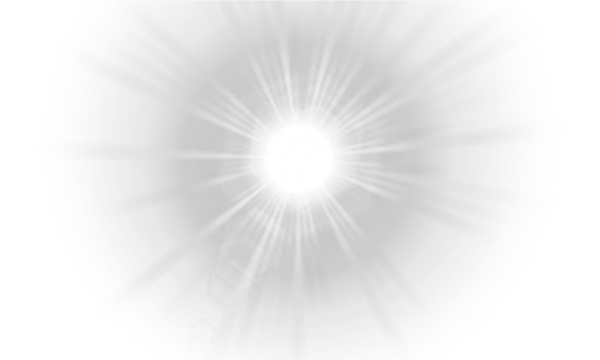 Поляна ромашек