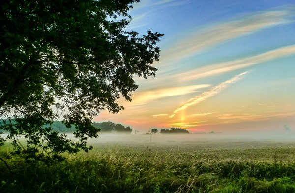 Восход над полем