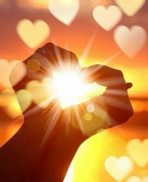 Солнце любовь