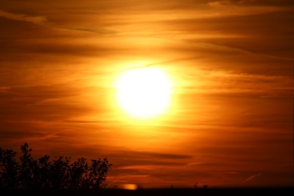 Солнце Sunrise