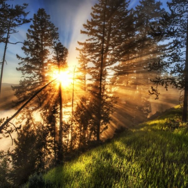 Красивый рассвет