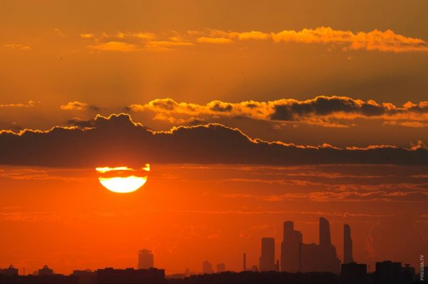 Солнце рассвет