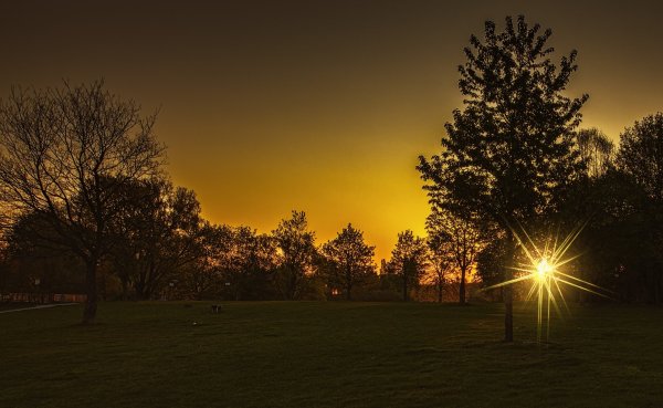 Луч солнца золотого