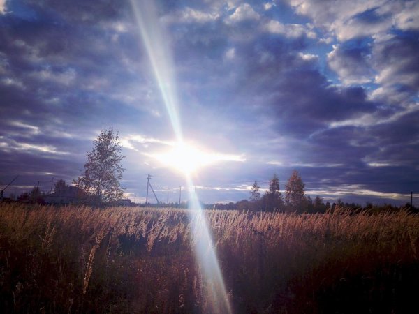 Луч солнца золотого