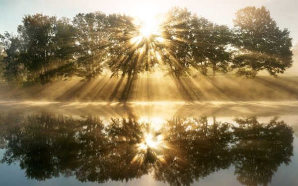 Красивый утренний рассвет