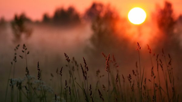 Заря прощается с землею Фет