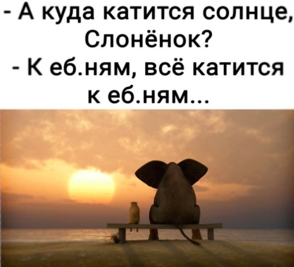 Слон на скамейке у моря