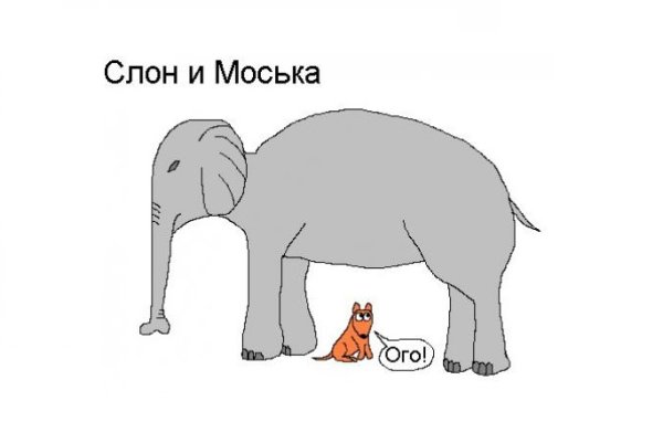 Анекдот про слона