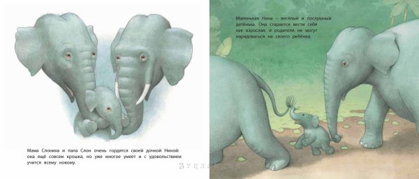 Куда катится мир