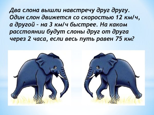 Куда катится мир