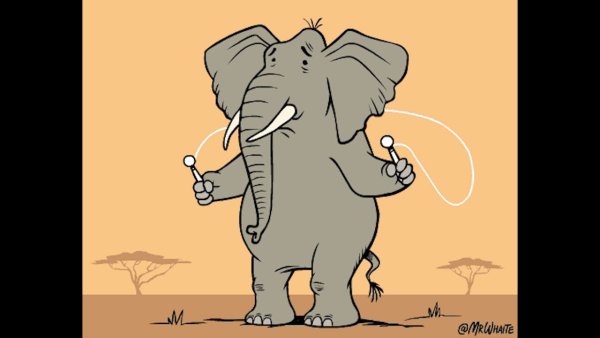 Куда катится мир