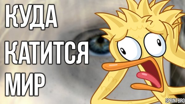 Куда все катится Слоненок картинка