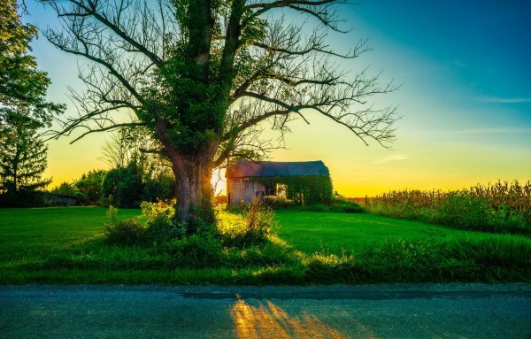 Природа дом солнце