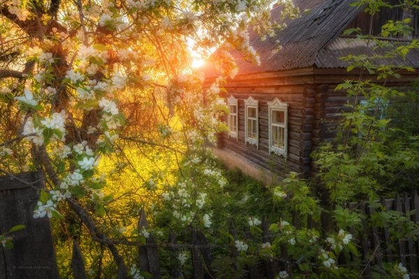 "Домик окнами в сад"