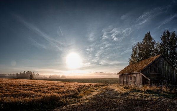 Одинокий деревенский домик