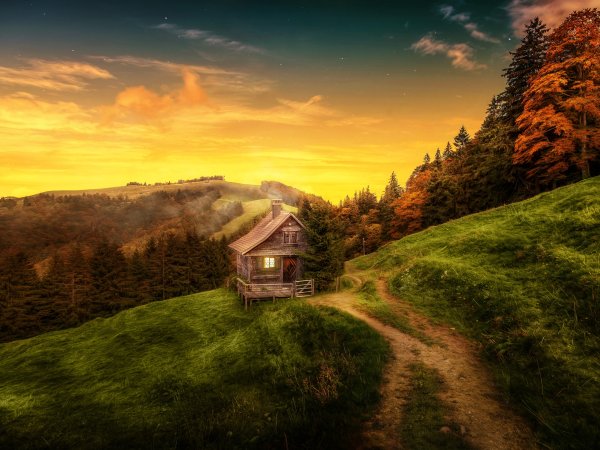 Домик в лесу