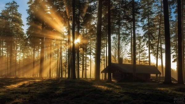 Дом на фоне природы