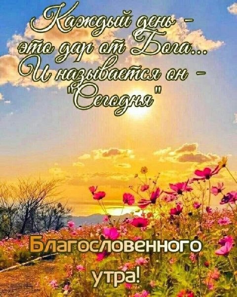 Пожелания тепла и радости