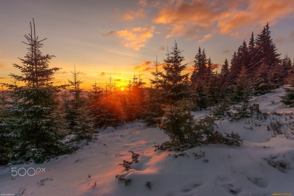 Зимний рассвет