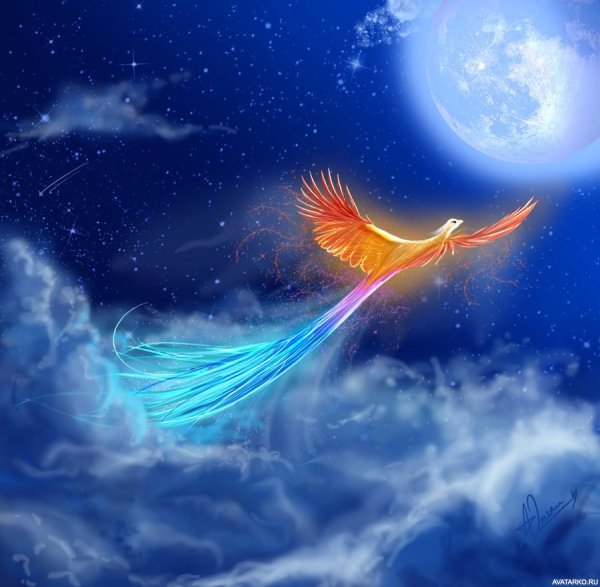 Хумо птица счастья