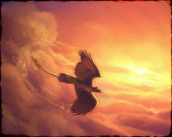 Облака в виде птицы