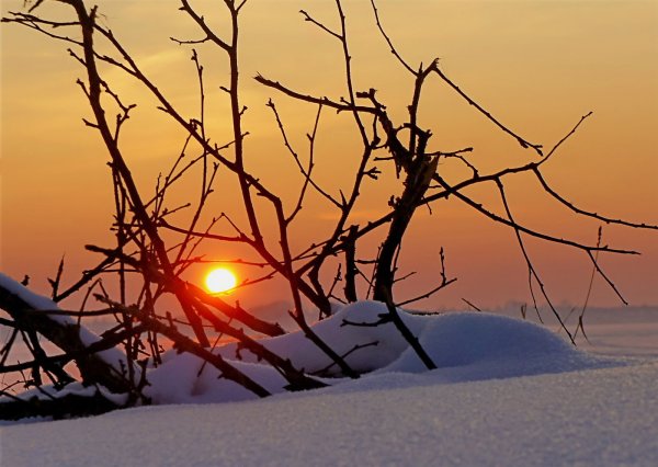 Зима, красное солнце