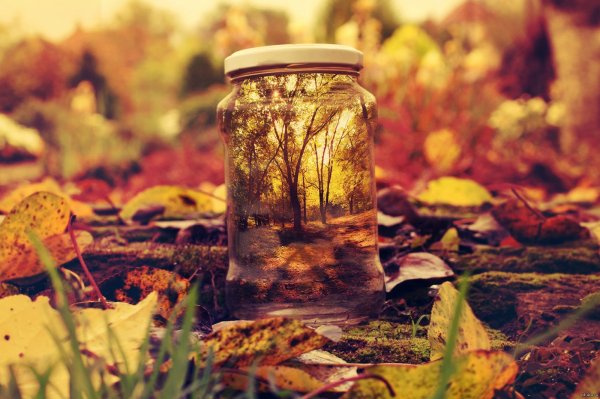 Осеннее Вдохновение