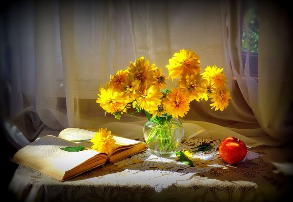 Солнечный цветок