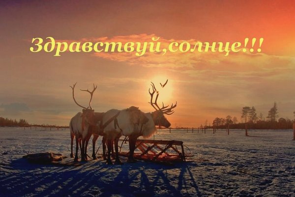 Праздник Здравствуй солнце