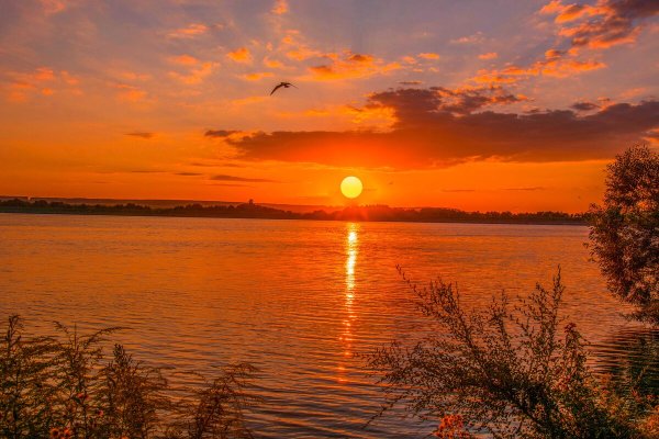 Красивый летний закат