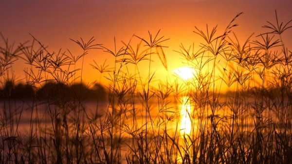 Закат солнца природа