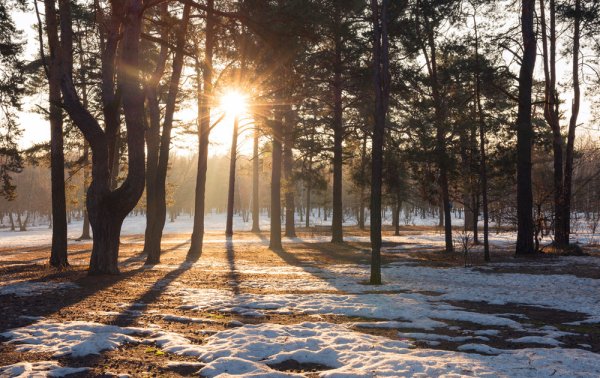 Солнце светит весной
