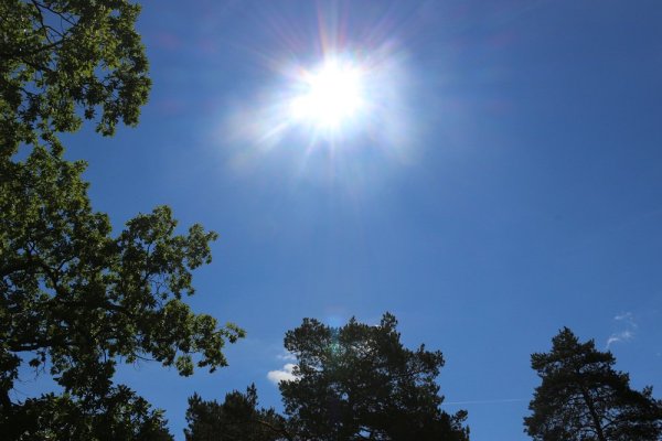 Полуденное солнце