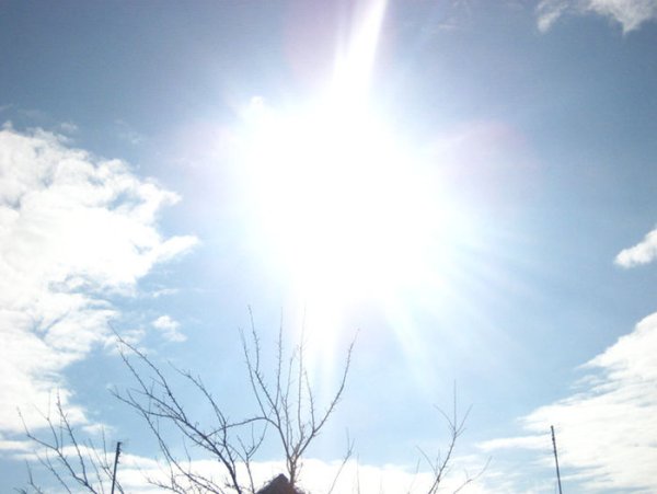 Солнце светит весной