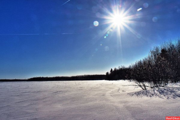 Яркое Весеннее солнце