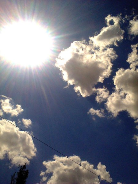 Палящее солнце