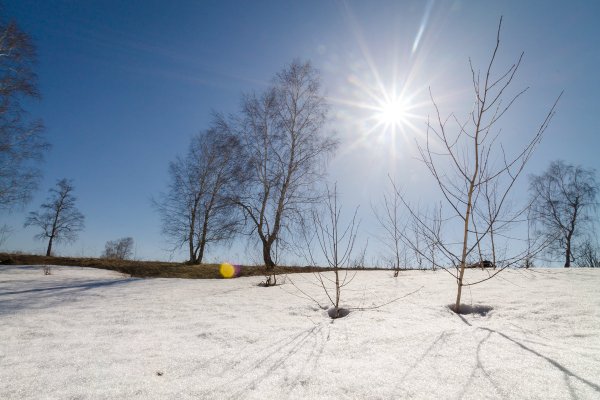 Солнечный весенний день