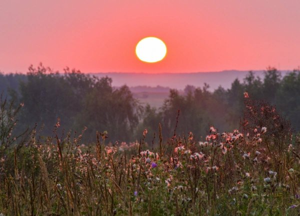 Утро (Утренняя Заря) (1534)