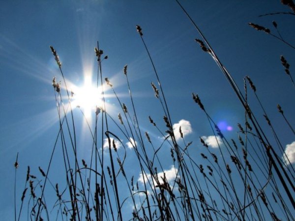 Весна солнце