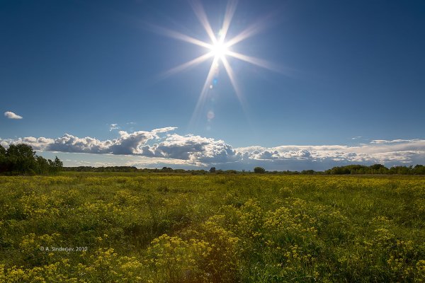 Солнечный пейзаж