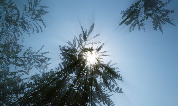 Солнце в Зените