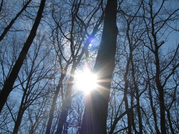 Весна солнце