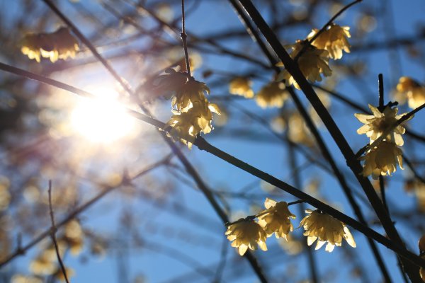 Солнечный день анимация