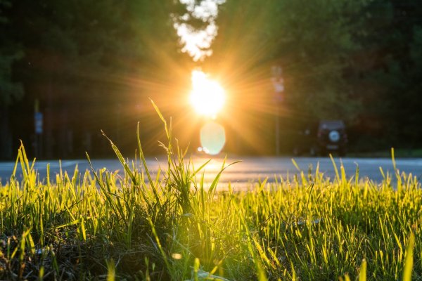 Вечернее солнце