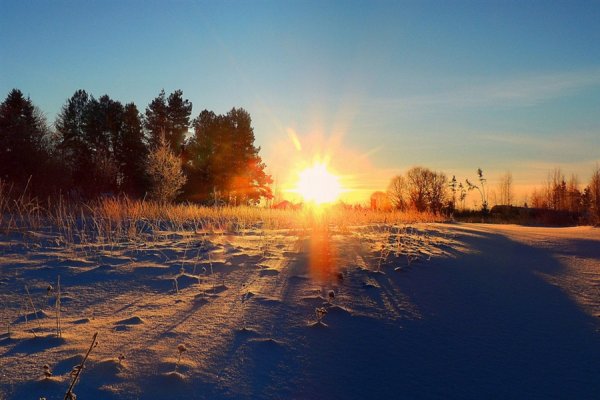 Весенний лучик солнца