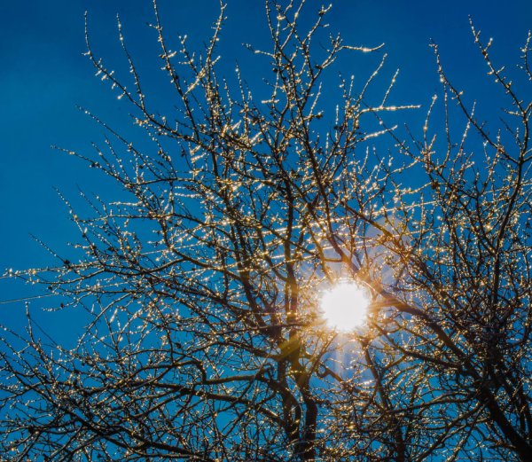 Утро ранней весны