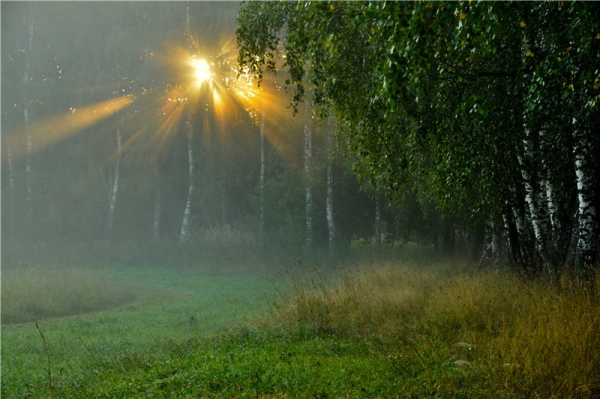 Солнечные лучики