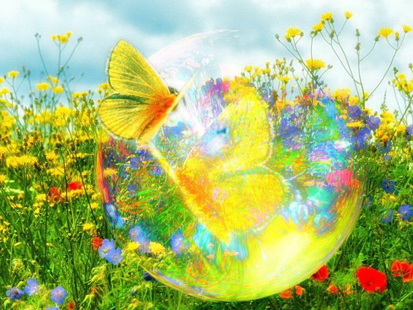 Баннер с радугой цветами