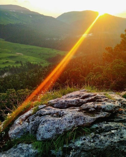 Лучи солнца